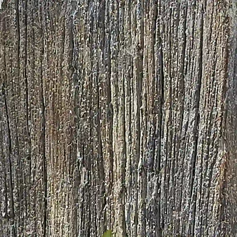 Étagère murale en ciment - 5 x 5,25 x 14,75