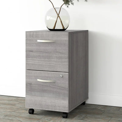 2-Drawer Mobile File Cabinet